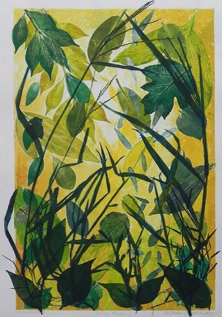 Monotype Printmaking // Intermediate // Monday